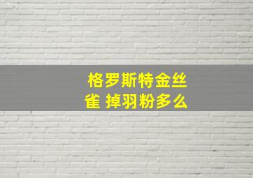 格罗斯特金丝雀 掉羽粉多么